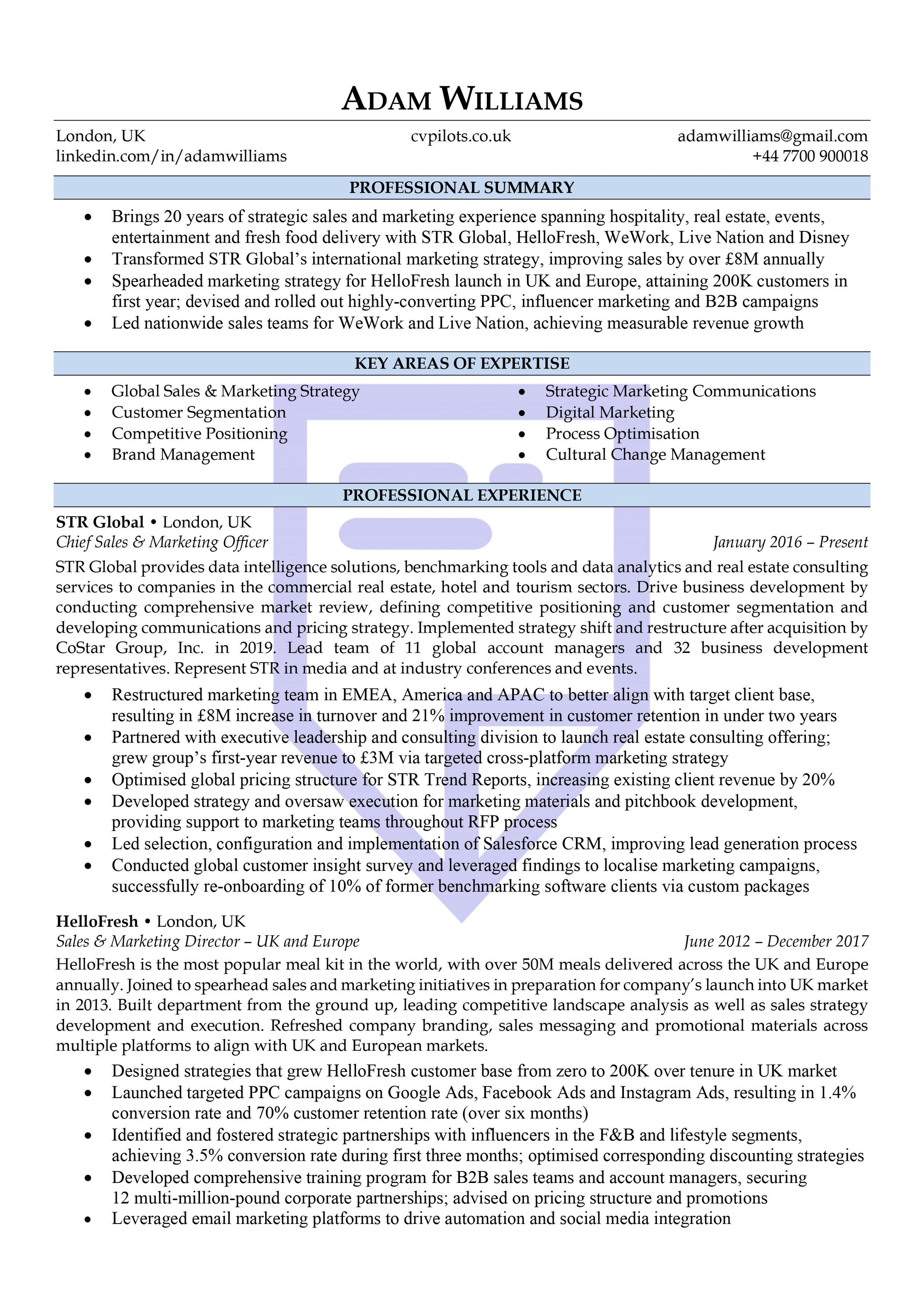 chronological-executive-cv-template-word-download-cv-pilots